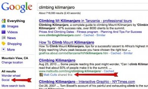 google social search
