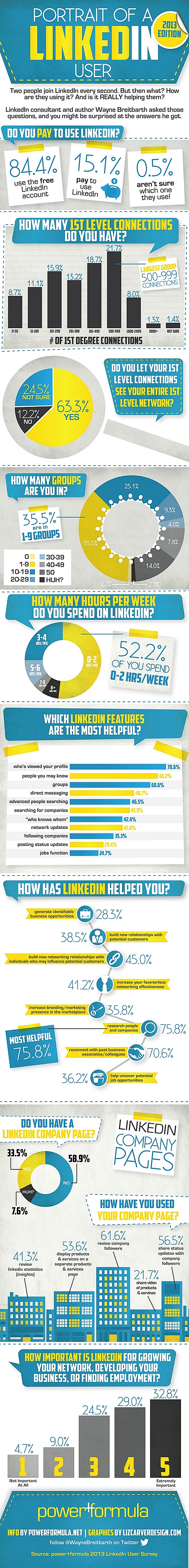 infografia LinkedIn-User 2013
