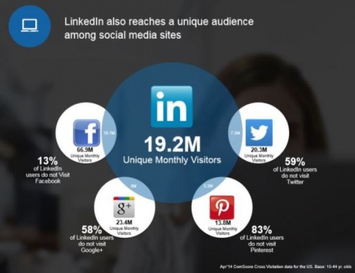 LinkedIn-Unique-audience