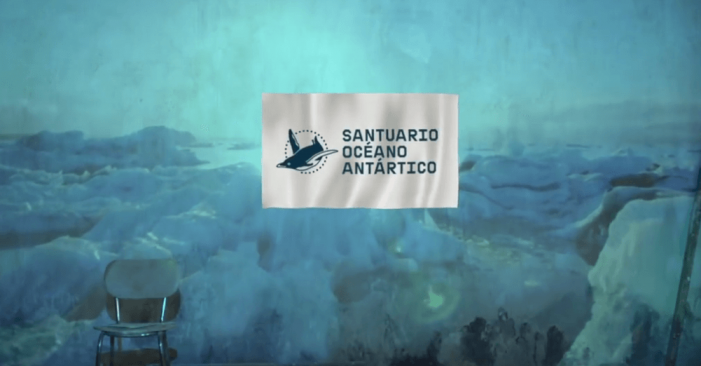 Nace la bandera del Océano Antártico. Vídeo Nace la bandera del Océano Antártico. Vídeo